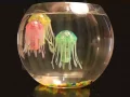 Hidrogénhajtású medúzarobotot fejlesztenek ki