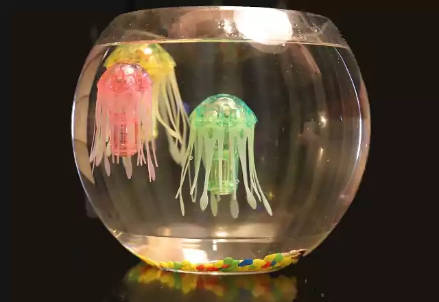 Robojelly medúza
