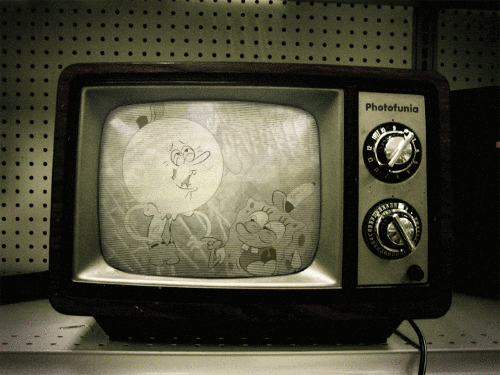 televízió