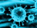 Orosz és észak-koreia hackerek a koronavírus elleni vakcinán dolgozó intézeteket támadnak