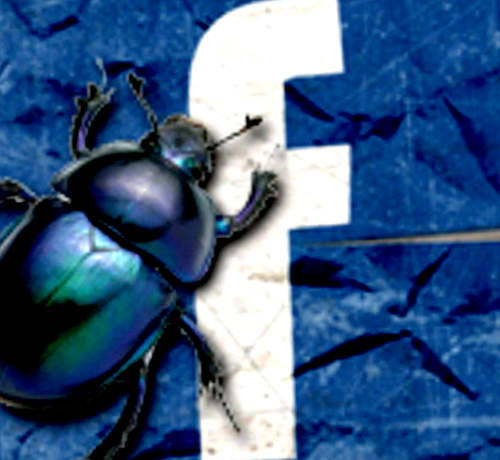 Csalódtak a magyar cégek a Facebookban