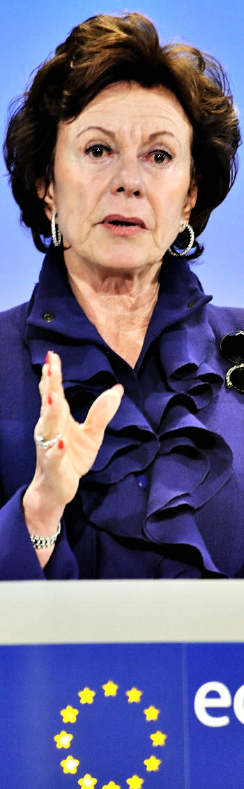 Neelie Kroes: tiltakozni kell az internetadó ellen