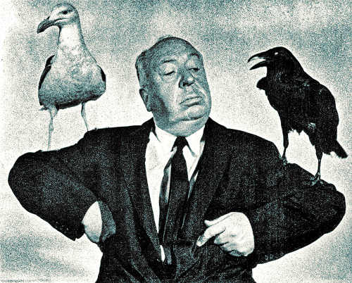 Hitchcock-madarak