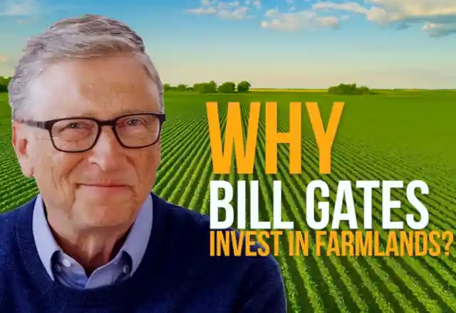 Krumplikirály lenne Bill Gates