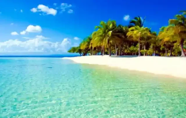 Egy karibi sziget perrel oldaná meg a klímaváltozást