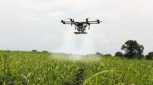 mezőgazdaság, agrárium. drón