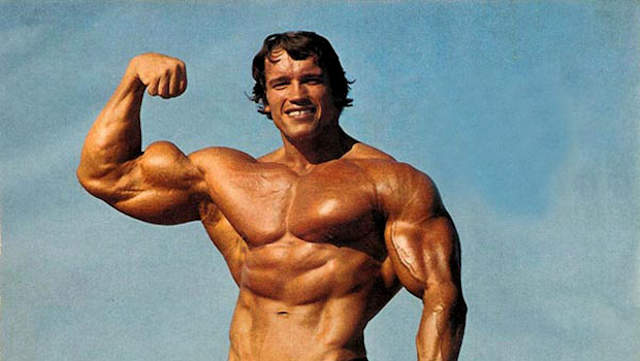 Schwarzenegger, bicepsz, erő